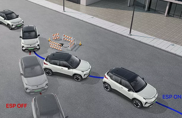 Electronic Stability Program