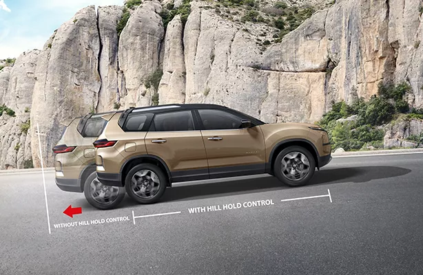 Tata Nexon Tri Arrow Signature Led Tail Lamps